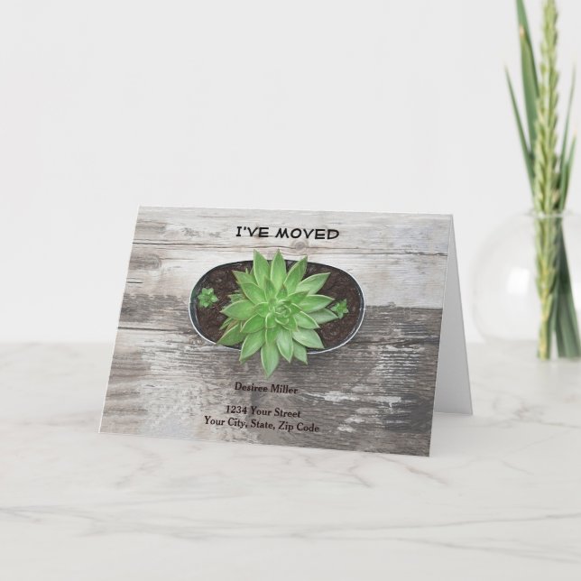 Sukkulente Pflanze Ich habe eine neue Adresse vers Ankündigung (Vorderseite)