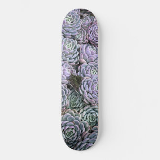 Sukkulente, Sukkulente, Sukkuline Skateboard