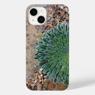 Sukkulente Wüste-Pflanze Case-Mate iPhone 14 Hülle