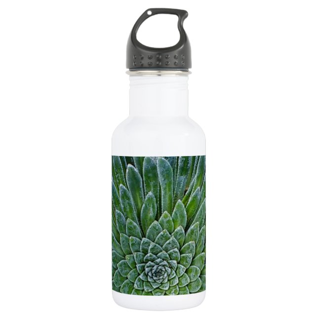 Sukkulente Wüste-Pflanze Edelstahlflasche (Vorderseite)