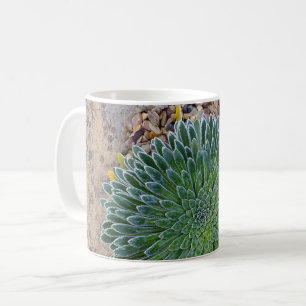 Sukkulente Wüste-Pflanze Kaffeetasse
