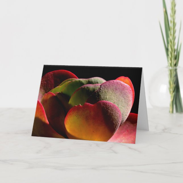 Sukkulente Wüste-Pflanze Karte (Vorderseite)