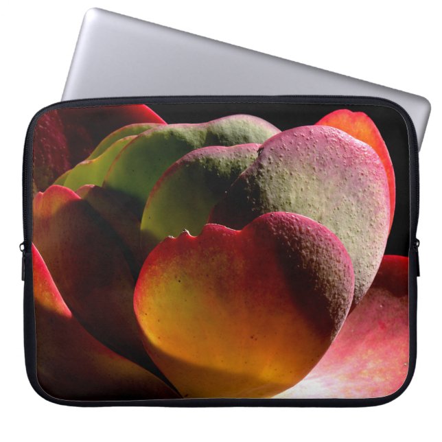 Sukkulente Wüste-Pflanze Laptopschutzhülle (Vorderseite)