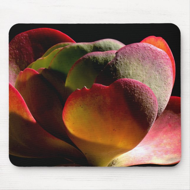 Sukkulente Wüste-Pflanze Mousepad (Vorne)
