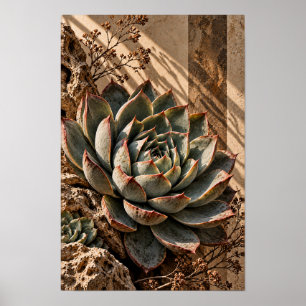 Sukkulenten-Botanik-Wandkunst im goldenen Licht Poster