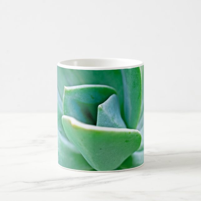 Sukkulenter Swirl Kaffeetasse (Mittel)