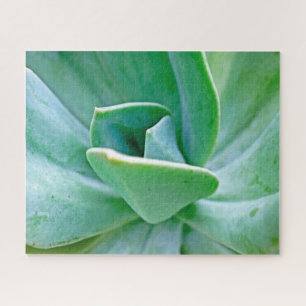 Sukkulenter Swirl Puzzle