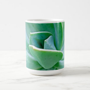 Sukkulenter Swirl Tasse