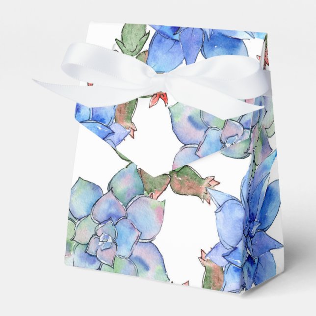 Sukkuline Geschenkschachtel (Vorderseite)