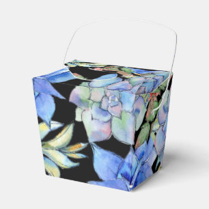 Sukkuline Geschenkschachtel