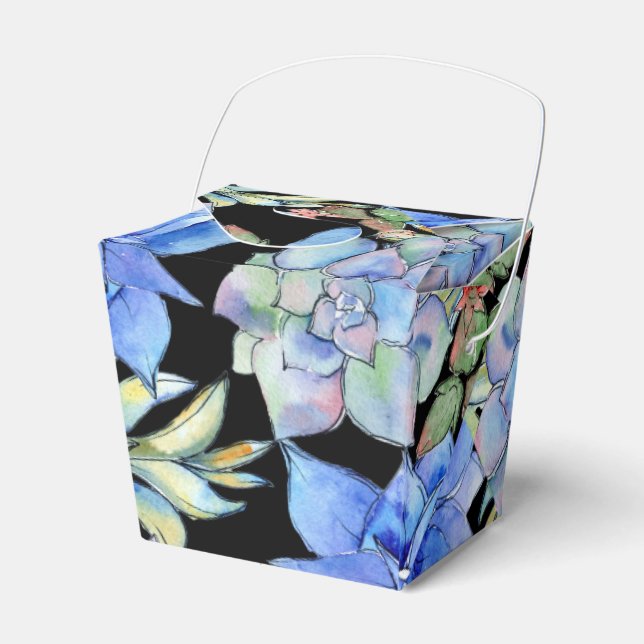 Sukkuline Geschenkschachtel (Vorderseite)