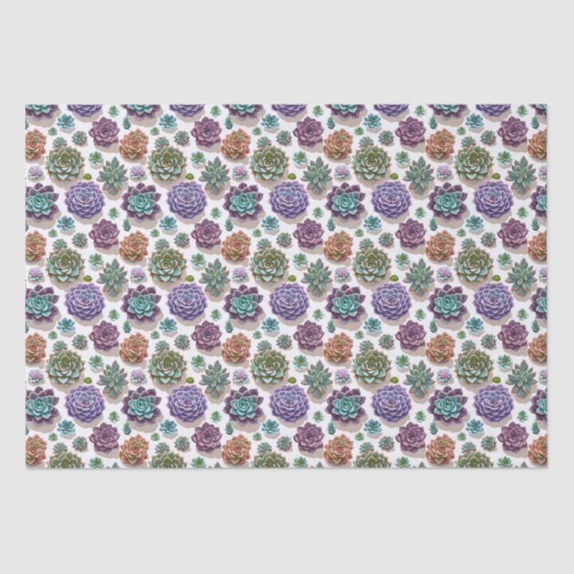 Sukkuline Seidenpapier (Vorderseite)