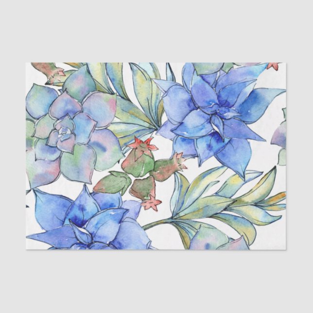 Sukkuline Seidenpapier (Vorderseite)