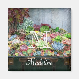 Sukkulturen in der Schatztruhe Magnet