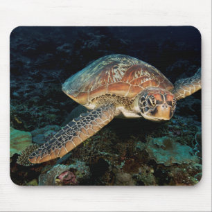Sulawesi Grüne Meeresschildkröte Mousepad