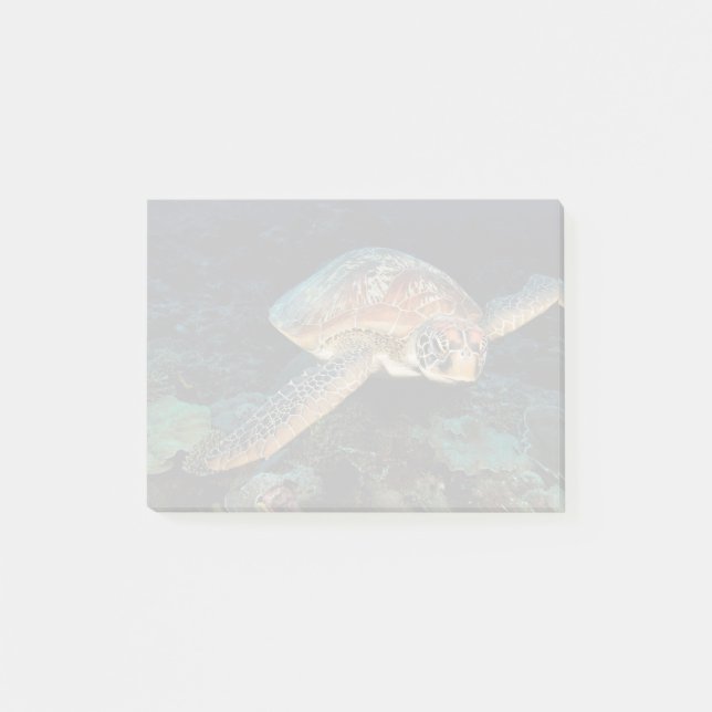 Sulawesi | Meeresschildkröte Post-it Klebezettel (Vorderseite)