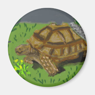 Sulcata Tortoise Magnet