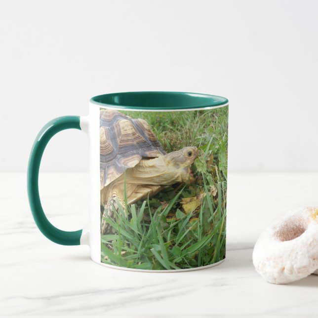 Sulcata Tortoise, Mouth Open, Gras Weiden Tasse (Mit Donut)