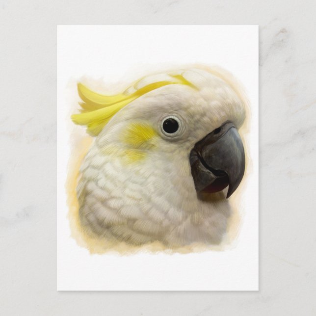 Sulfur Crested Cockatoo realistische Malerei Postkarte (Vorderseite)