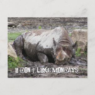 Sulking Rhino Postcard Postkarte
