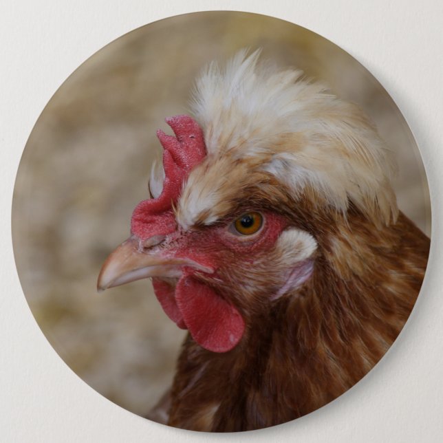 Sulmtaler Hen Button (Vorderseite)
