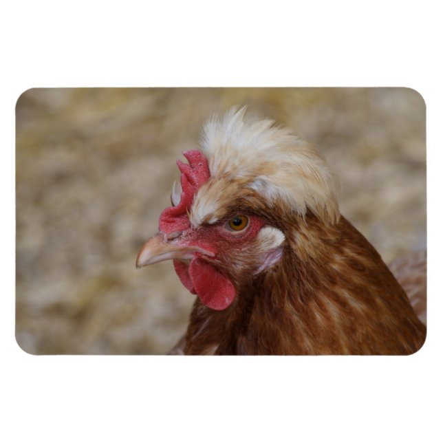 Sulmtaler Hen Magnet (Horizontal)
