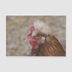 Sulmtaler Hen Seidenpapier