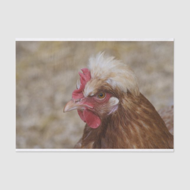 Sulmtaler Hen Seidenpapier (Vorderseite)