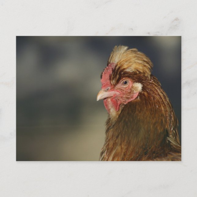 Sulmtaler Postkarte (Vorderseite)