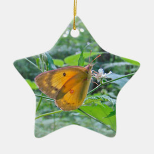 Sulpher Butterfly Keramikornament