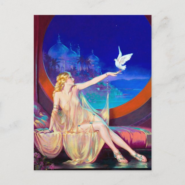 Sultana Button Up Postkarte (Vorderseite)