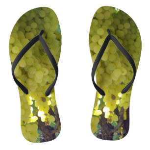 Sultana-Trauben auf einem Rebstock, Flip Flops