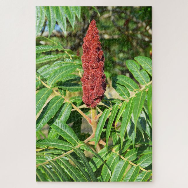 Sumac-Baum in Frankreich Puzzle (Vertikal)