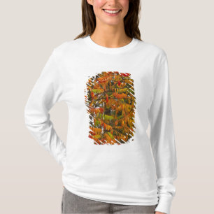 Sumac-Baum in Herbstfarbe in Whitefish, T-Shirt