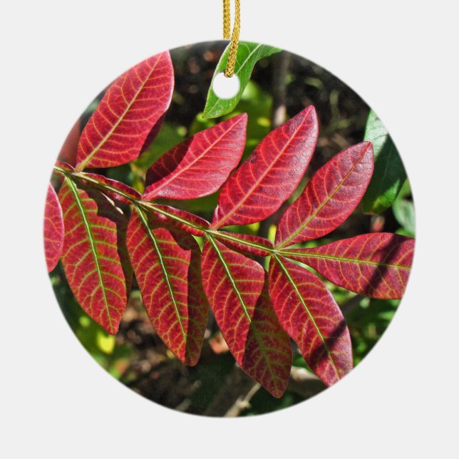 sumac-Blätter im Herbst Keramikornament (Vorne)