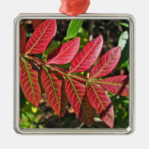 sumac-Blätter im Herbst Silbernes Ornament