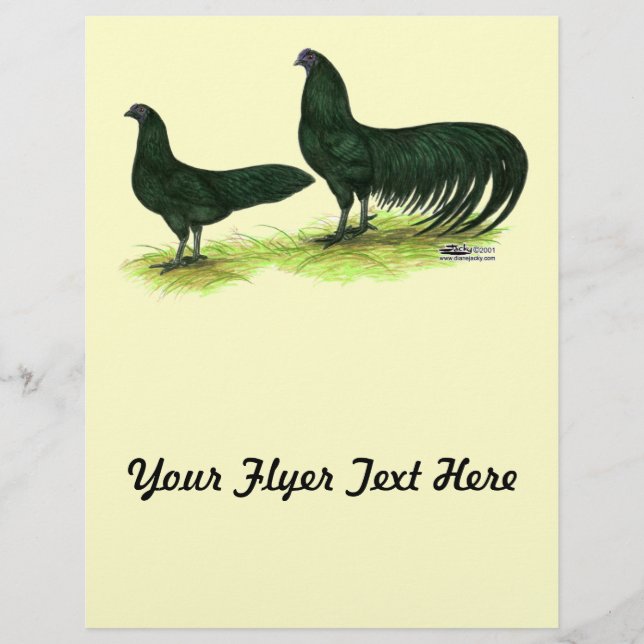 Sumatra Black Chickens Flyer (Vorne)
