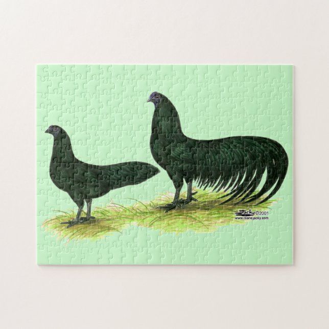 Sumatra Black Chickens Puzzle (Horizontal)
