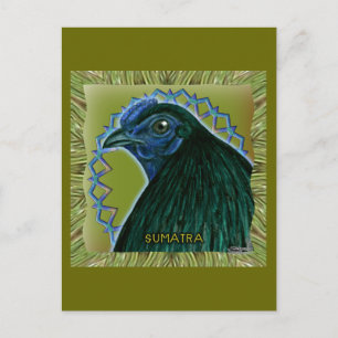 Sumatra Hahn gerahmt Postkarte