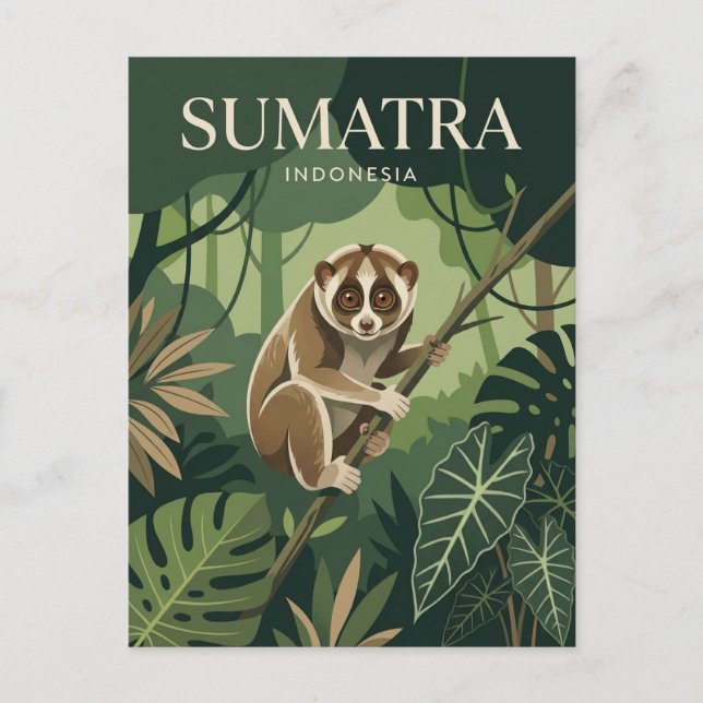 Sumatra Indonesien Postkarte (Vorderseite)