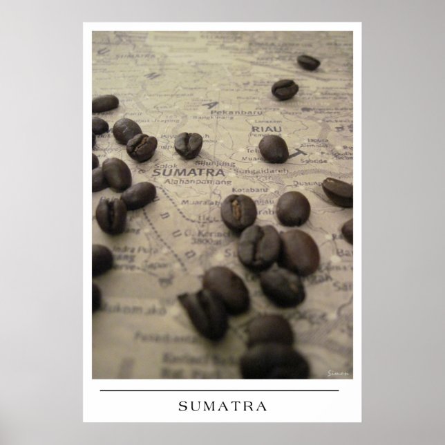Sumatra - Kaffee schicken Poster (Vorne)