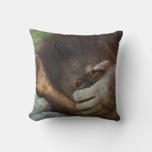 Sumatra-Orang-Utan, Pongo pygmaeus Kissen