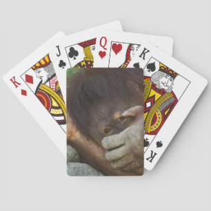 Sumatra-Orang-Utan, Pongo pygmaeus Spielkarten