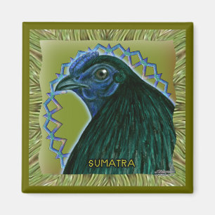 Sumatra Rooster Gerahmt Magnet