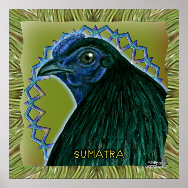 Sumatra Rooster Gerahmt Poster (Vorne)