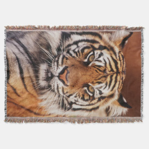 Sumatra-Tiger Decke