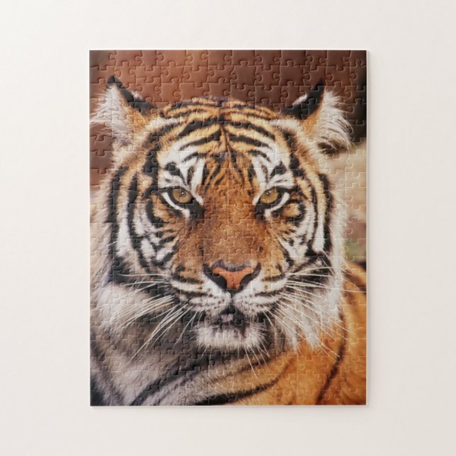 Sumatra-Tiger Puzzle (Vertikal)