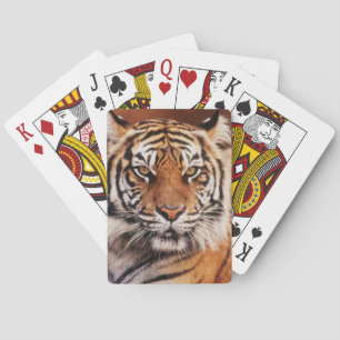 Sumatra-Tiger Spielkarten