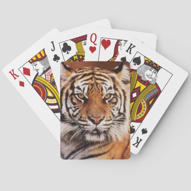Sumatra-Tiger Spielkarten (Rückseite)