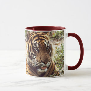 Sumatra-Tiger-Tasse Tasse